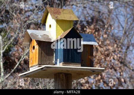 Condo d'oiseaux est disponible Banque D'Images