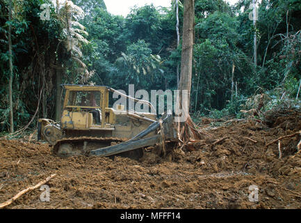 Bulldozer clearing arbres et végétation f ou route dans les zones de concession d'exploitation forestière au Gabon Banque D'Images