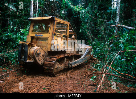 L'EXPLOITATION FORESTIÈRE DE LA FORÊT TROPICALE bulldozer clearing végétation et d'arbres pour construire une route dans les zones de concession d'exploitation forestière, le Gabon. Banque D'Images