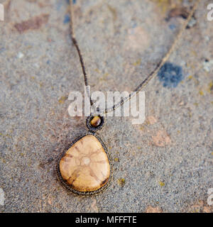 Collier en bois naturel de l'ayahuasca sur fond de pierre Banque D'Images