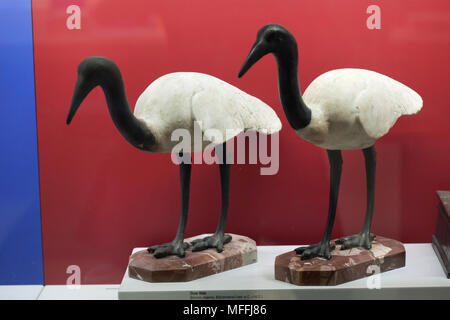 Deux des ibis sacrés en date de la période romaine du 1er siècle avant J.-C. ou le 1er siècle après JC trouvés à Pompéi sur l'affichage dans le Musée Archéologique National (Museo Archeologico Nazionale di Napoli) à Naples, Campanie, Italie. Banque D'Images