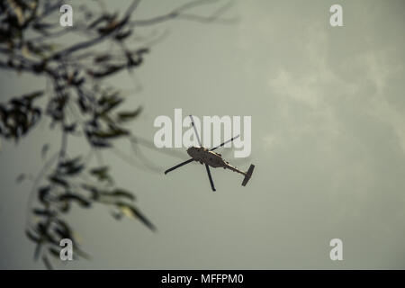 Militaire israélienne UH-60 Black Hawk volant dans le ciel. Low angle view. Banque D'Images