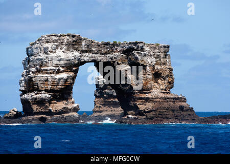 Darwin's Arch, une hausse spectaculaire de 50 pieds de hauteur de passage de lave naturelle, s'élève au-dessus de l'océan sur une courte distance au large des îles Galapagos, l'île de Darwin, l'UNESCO Banque D'Images