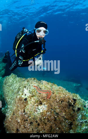 Scuba Diver Tim Neville sur Teti wreck dive site, l''île de Vis, Croatie, Mer Adriatique, Mer Méditerranée Banque D'Images