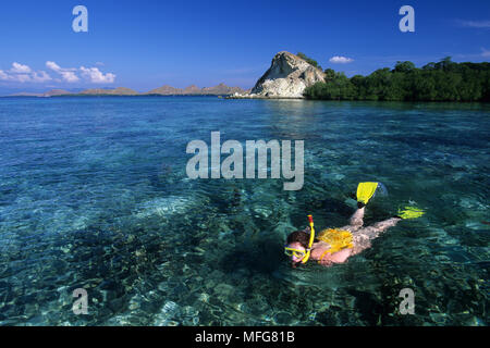 Femme de la plongée avec tuba dans la baie, les îles de l'archipel de Komodo, le Parc National de Komodo, en Indonésie, l'océan Pacifique Date : 23.07.08 ref : 117122 ZB777  0002 COMPU Banque D'Images