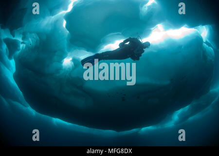 Scuba Diver sous et entre les formations de glace, le lac Sassolo, Sambuco valley, Tessin, Suisse Banque D'Images