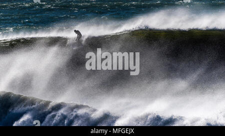 Un internaute sur la crête d'une vague puissante énorme au large de la plage de Fistral à Newquay en Cornouailles. Banque D'Images