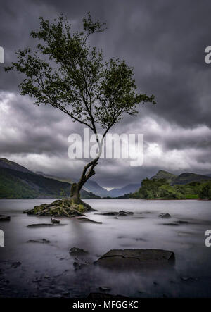 Llyn Padarn, Gwynedd, au nord du Pays de Galles, Royaume-Uni Banque D'Images