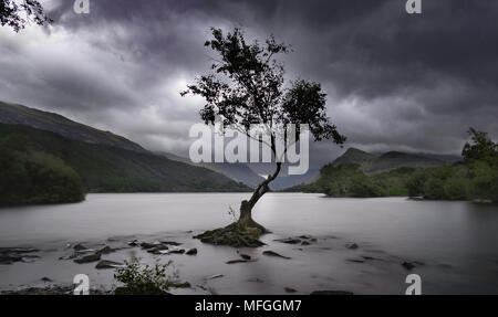 Llyn Padarn, Gwynedd, au nord du Pays de Galles, Royaume-Uni Banque D'Images