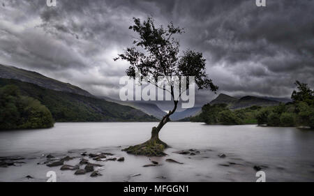 Llyn Padarn, Gwynedd, au nord du Pays de Galles, Royaume-Uni Banque D'Images