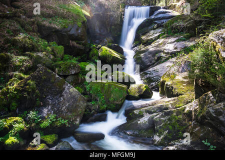 Allemagne, cascades de Triberg en forêt-noire nature paysage avec Sun Banque D'Images