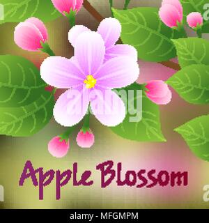 Branche de pommier en fleurs avec des fleurs roses. Vector illustration Illustration de Vecteur