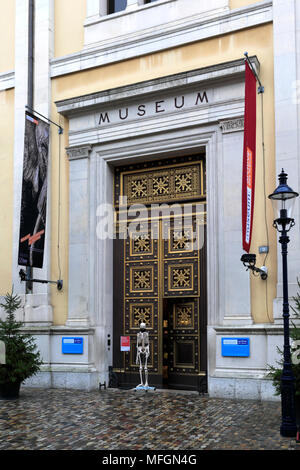 Le musée d'Histoire Naturelle, Bâle-Ville, canton de Bâle-Ville, Suisse, Europe Banque D'Images