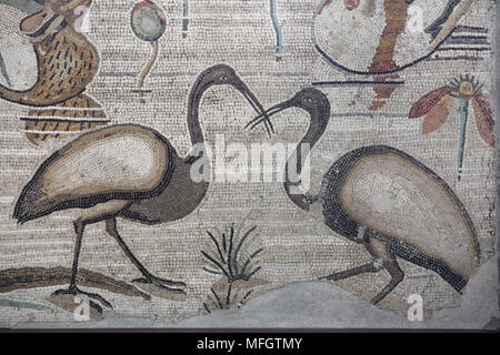 Les Ibis sacrés africains (Threskiornis aethiopicus) décrite dans la mosaïque romaine avec la scène nilotique du Casa del Fauno (Maison du Faune) à Pompéi, aujourd'hui exposées dans le Musée Archéologique National (Museo Archeologico Nazionale di Napoli) à Naples, Campanie, Italie. Banque D'Images