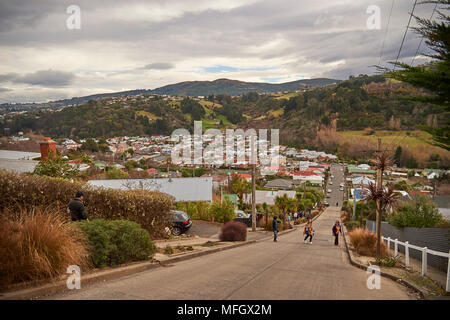 Les touristes à la rue Baldwin, la rue résidentielle la plus raide de 350 mètres de long, Dunedin, Otago, île du Sud, Nouvelle-Zélande Banque D'Images