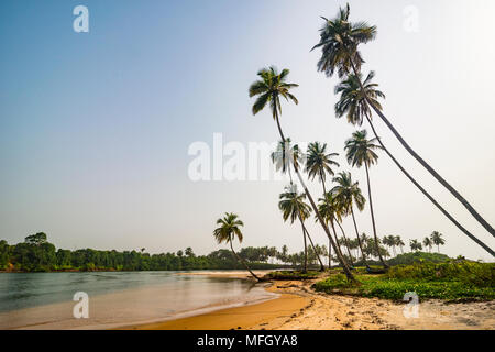 Rivière qui coule dans l'océan au sud de Buchanan, au Libéria, en Afrique de l'Ouest, l'Afrique Banque D'Images