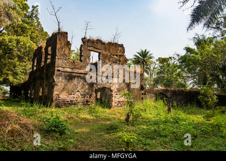 Ruines de l'ancienne colonie ancien esclave sur l'île de Bunce, en Sierra Leone, en Afrique de l'Ouest, l'Afrique Banque D'Images