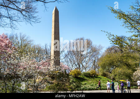 Cleopatra's Needle obélisque est entouré d'arbres de Magnolia qui fleurit au printemps, Central Park, NYC, USA Banque D'Images