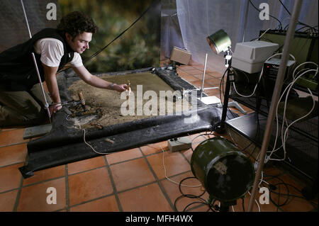 STUDIO MIS EN PLACE pour photographier sautant MUDSKIPPERS en utilisant flash haute vitesse Banque D'Images