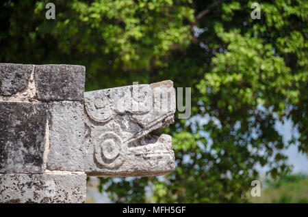 Détail d'une tête de serpent sculture dans un archeaological site Maya Banque D'Images