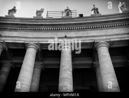 Compte tenu de la proximité des colonnes de la place Saint Pierre au Vatican en noir et blanc, Rome, Italie Banque D'Images