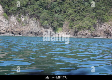 Les baleines, Tortuga, Costa Rica Banque D'Images