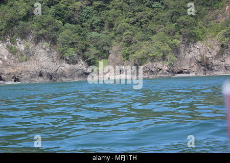 Les baleines, Tortuga, Costa Rica Banque D'Images