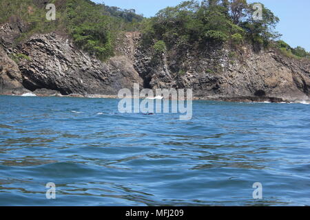 Les baleines, Tortuga, Costa Rica Banque D'Images