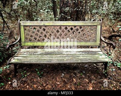 Vieux fer et banc en bois dans les bois Banque D'Images