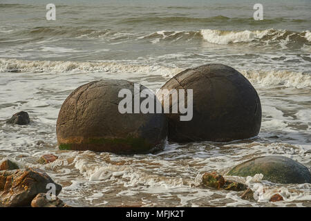 Moeraki Boulders, un groupe de très gros rochers sphériques sur Koekohe plage près de Moeraki sur la côte d'Otago, île du Sud, Nouvelle-Zélande, Pacifique Banque D'Images