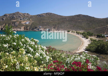 Vue sur la plage de Psili Ammos de lauriers-roses sur la côte est de l'île, Serifos, Cyclades, Mer Égée, îles grecques, Grèce, Europe Banque D'Images