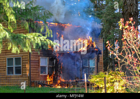 Shelton, Washington USA. 25 avril 2018. Une maison à Shelton Washington burns quelques instants avant l'arrivée des pompiers et commencer à pulvériser de l'eau sur lui. Un homme endormi qui n'a pas d'jambes inférieures a été tiré à partir de la chambre par un passant. Credit : Shawna Whelan/Alamy Live News Banque D'Images