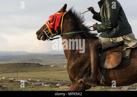 11 janvier 2018 - Matatiele, Eastern Cape, Afrique du Sud - Kahlo, 16 courses, le cheval de son grand-père dans le village. (Crédit Image : © Stefan Kleinowitz via Zuma sur le fil) Banque D'Images