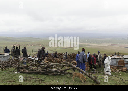 5 décembre 2017 - Matatiele, Eastern Cape, Afrique du Sud - Une marche jusqu'à sa cabane où il va passer 4 semaines sur ses propres. Sa famille et ses amis l'accompagnent à la hutte, où seul le Xhosa les hommes ont le droit de s'approcher au cours de la cérémonie. (Crédit Image : © Stefan Kleinowitz via Zuma sur le fil) Banque D'Images