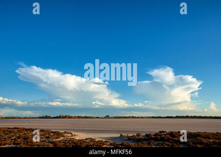 Ciel bleu vif contraste avec la faiblesse de l'approche avant la tempête sur un lac de sel sec. Banque D'Images