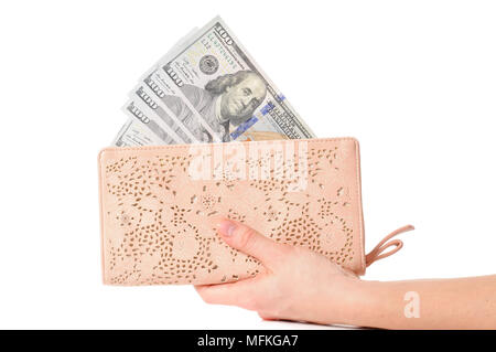 Dans l'argent Etui en cuir. Portefeuille complet de dollars américains Banque D'Images