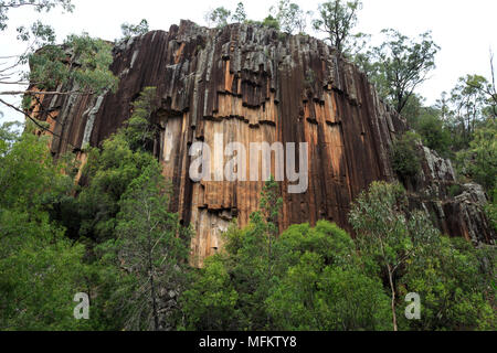 Vue de la falaise haute de 40 mètres et ses colonnes de lave basaltique de modèle hexagonal, à Swan Rocks, à Narrabri, Nouvelle Galles du Sud. Banque D'Images