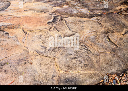 Vue de la falaise haute de 40 mètres et ses colonnes de lave basaltique de modèle hexagonal, à Swan Rocks, à Narrabri, Nouvelle Galles du Sud. Banque D'Images