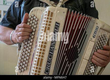 Homme jouant sur un Crucianelli accordéon. Banque D'Images