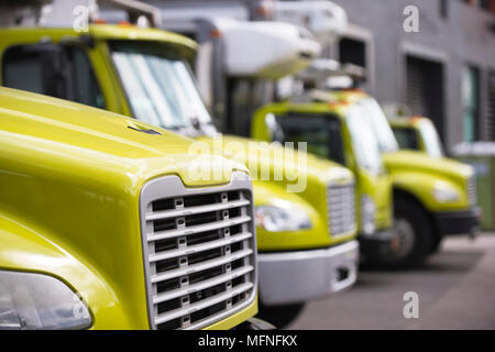 Jaune de la classe moyenne des camions semi différentes marques et modèles avec réfrigérateur unité le fort des bandes-annonces de déménagement et des services de livraison en ligne de commandes Banque D'Images