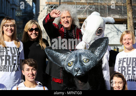 Le guitariste Brian May Queen seul avec les militants de la protection animale dont deux portant papier mâché géant fox et têtes de lapin sur les marches de 10 Downing Street avec une pétition de plus de 400 000 signatures exhortant le Premier ministre Theresa peut introduire une fourrure animale Royaume-uni interdiction des importations. Avec : Brian May Où : London, Royaume-Uni Quand : 26 Mar 2018 Crédit : Dinendra Haria/WENN Banque D'Images