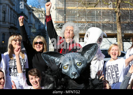 Le guitariste Brian May Queen seul avec les militants de la protection animale dont deux portant papier mâché géant fox et têtes de lapin sur les marches de 10 Downing Street avec une pétition de plus de 400 000 signatures exhortant le Premier ministre Theresa peut introduire une fourrure animale Royaume-uni interdiction des importations. Avec : Brian May Où : London, Royaume-Uni Quand : 26 Mar 2018 Crédit : Dinendra Haria/WENN Banque D'Images