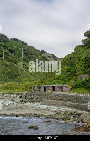 Cabane de pêche sur la côte de la péninsule de Sadamisaki, préfecture d'Ehime, au Japon Banque D'Images