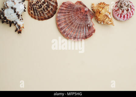 Coquillages et Pierres sur fond ivoire avec copie espace pour le texte. Vue d'en haut. Banque D'Images