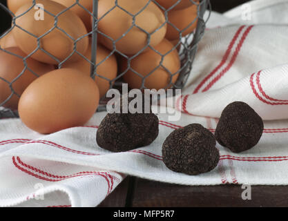 Les oeufs de poule avec truffe du Périgord tuber melanosporum, Banque D'Images