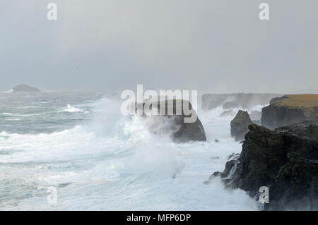 Soumission des vagues à Eshaness cliffs dans l'Île Shetland pendant une grosse tempête Atlantique