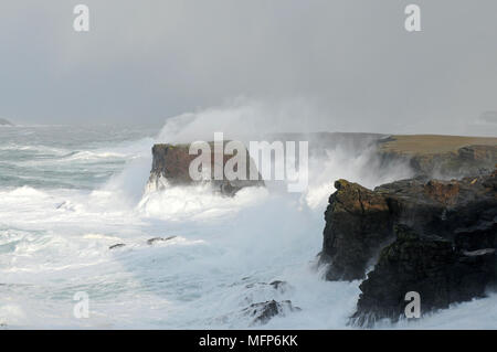 Soumission des vagues à Eshaness cliffs dans l'Île Shetland pendant une grosse tempête Atlantique