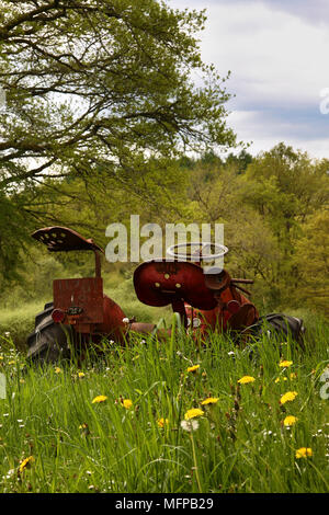 Vieux tracteur Massey Ferguson abandonnés dans l'herbe haute avec fleurs de pissenlit. Banque D'Images