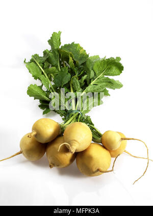 Golden Ball Navet, Brassica rapa, légumes contre fond blanc Banque D'Images