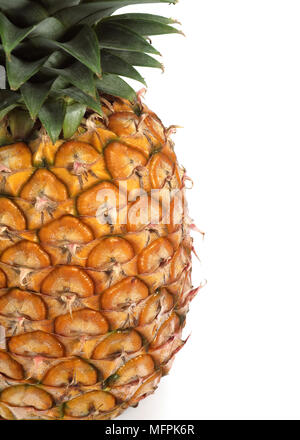 L'ananas, Ananas comosus, Fruit against White Background Banque D'Images